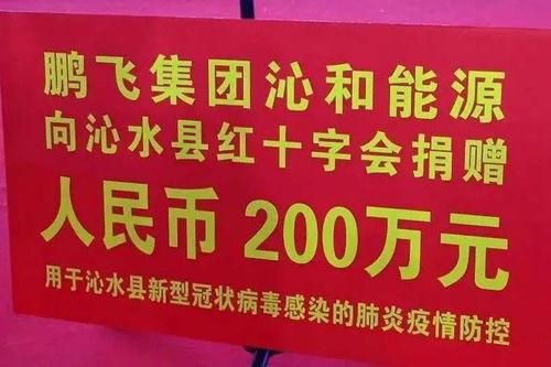 鹏飞集团爆料最新消息,揭秘企业转型背后的秘密与挑战