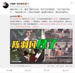 爆料陈嘉艺小时后视频,揭秘星二代成长轨迹  第2张