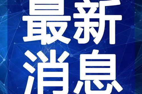 十月返场爆料新闻视频,精彩内容抢先看，揭秘热门剧集幕后故事