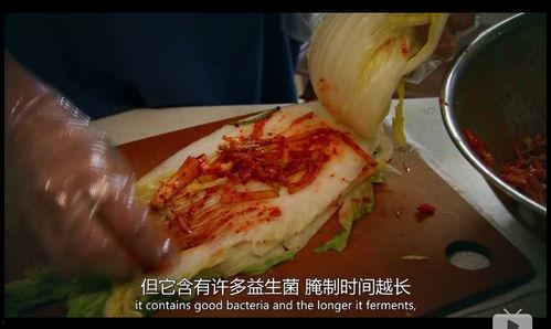 酸菜饱饱爆料原视频,原视频背后的故事与真相 第3张 酸菜饱饱爆料原视频,原视频背后的故事与真相 第3张